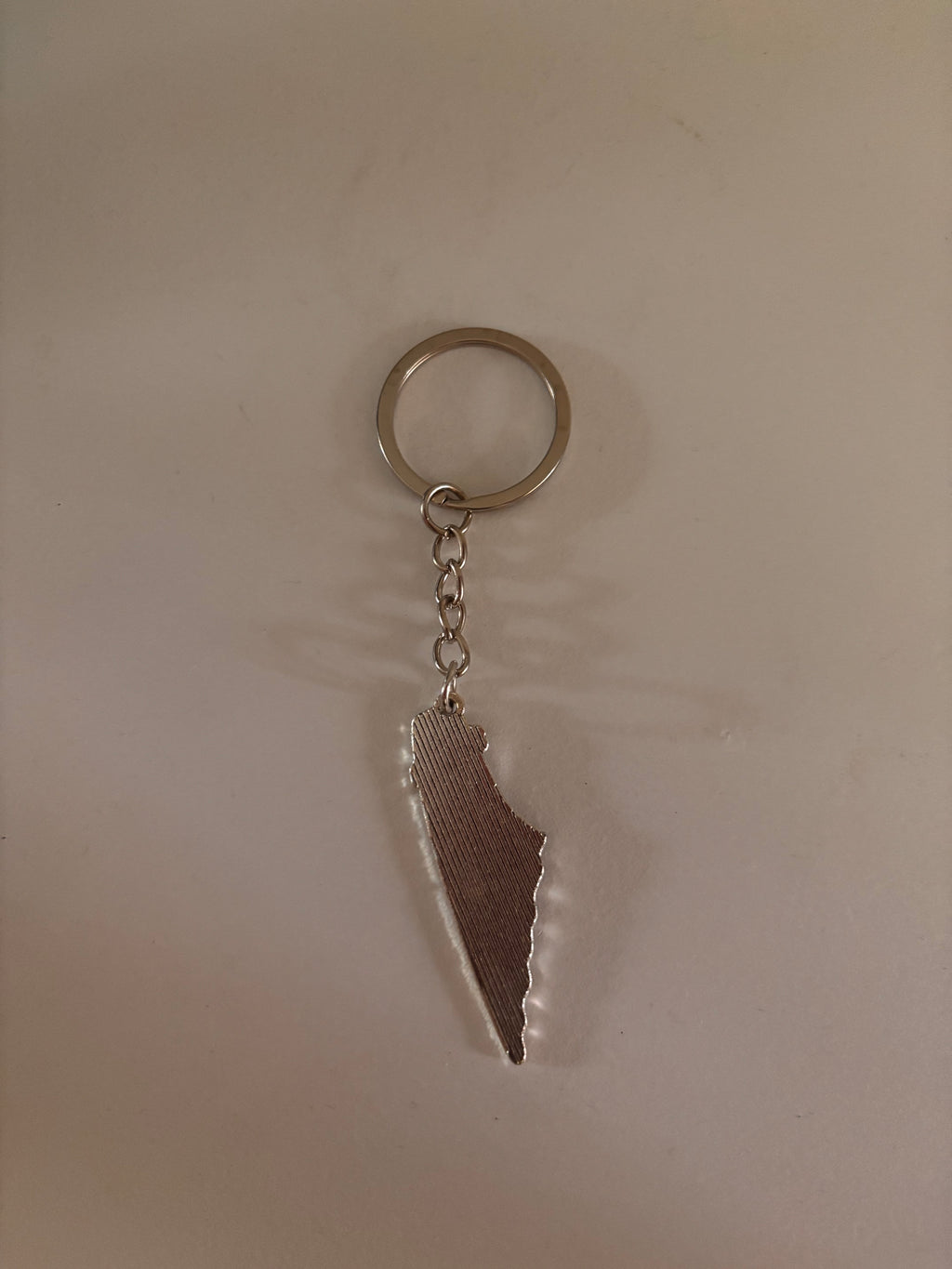 palestine map shaped keychain