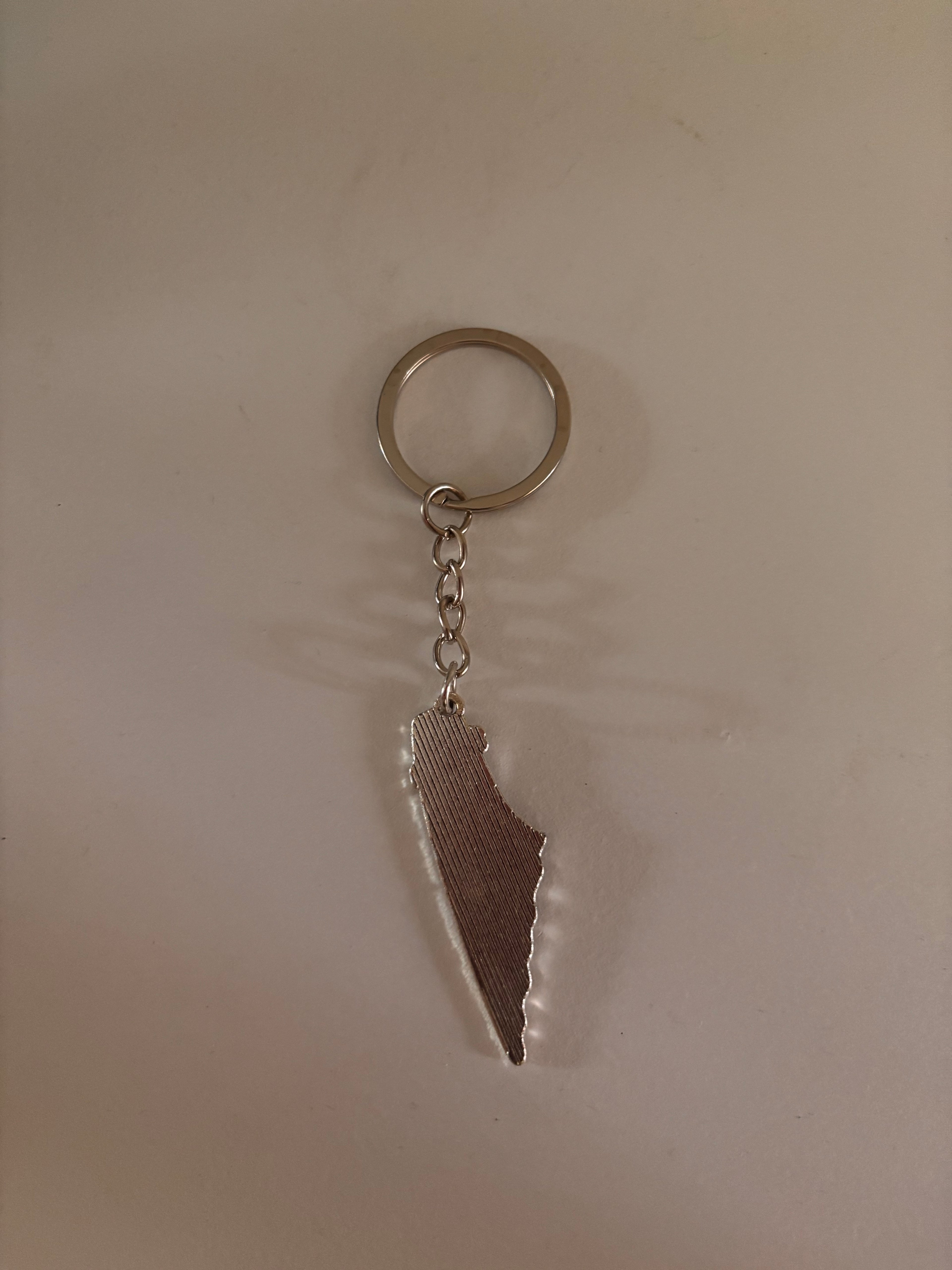 palestine map shaped keychain