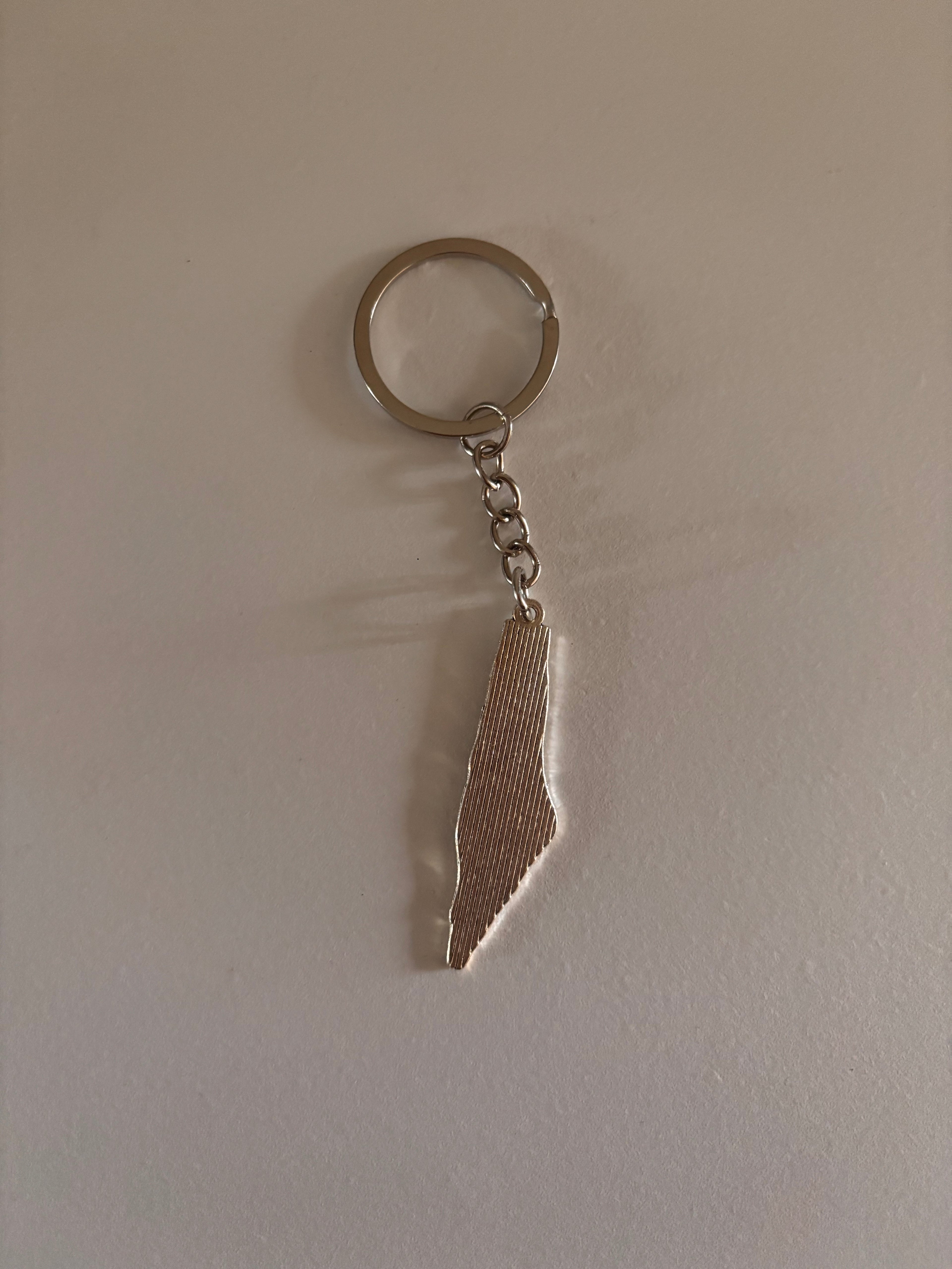 palestine map shaped keychain