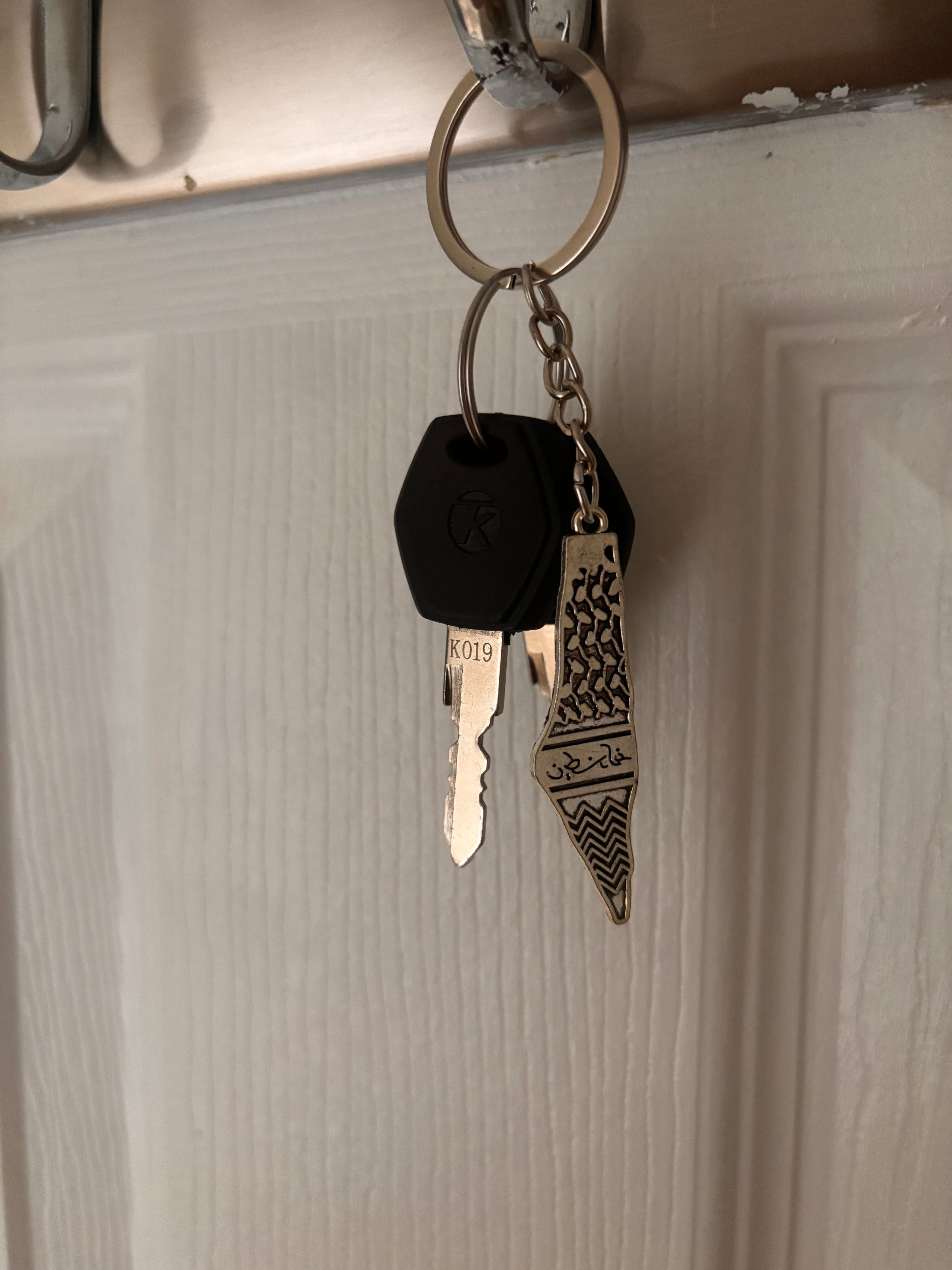 palestine map shaped keychain